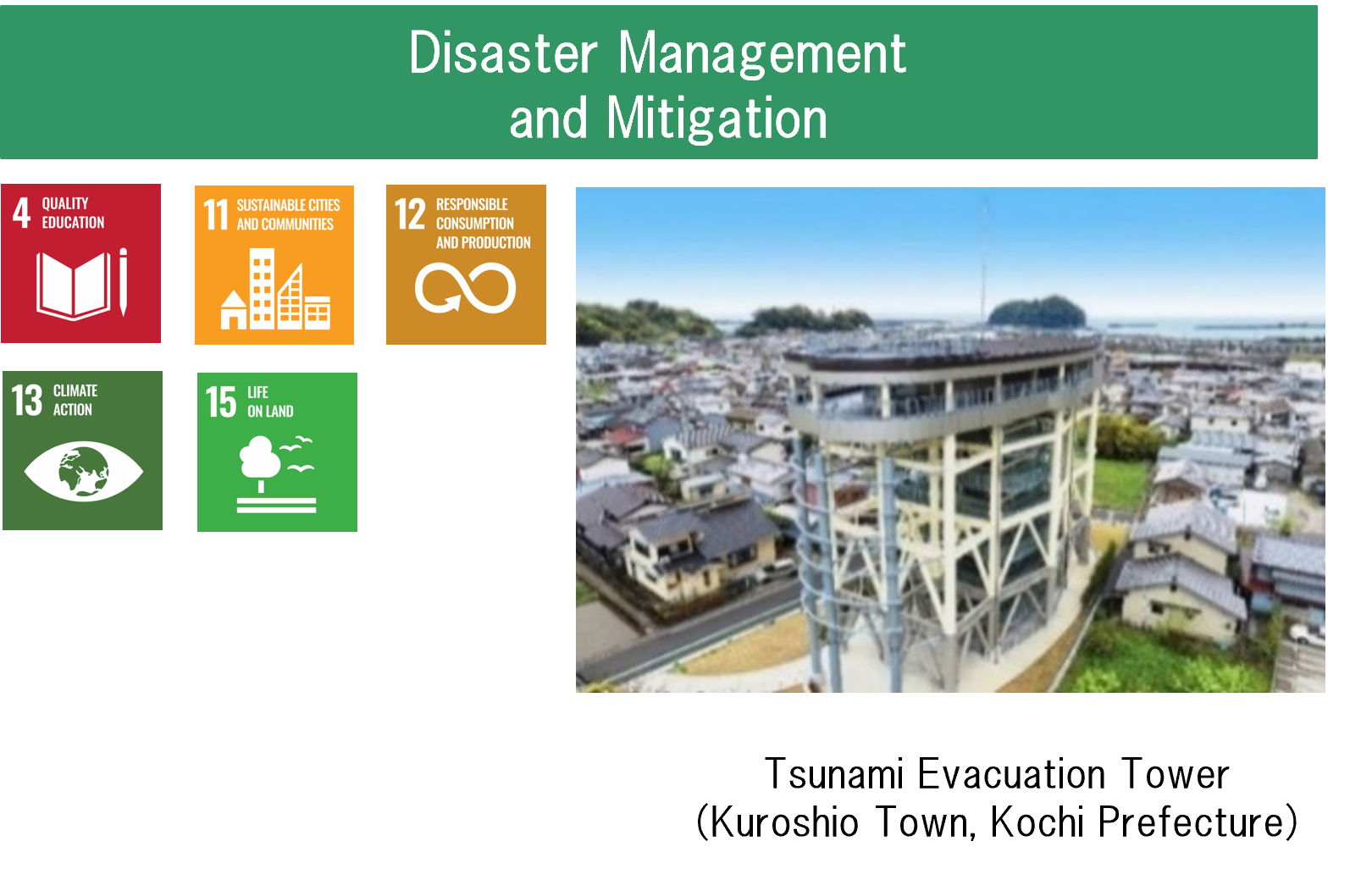 Disaster Management and Mitigation